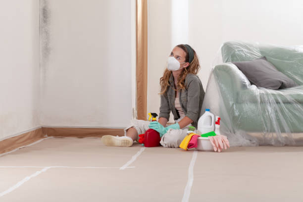 Reliable Attic Mold Removal contractor in Mechanicsville, MD by WQB Mold Removal